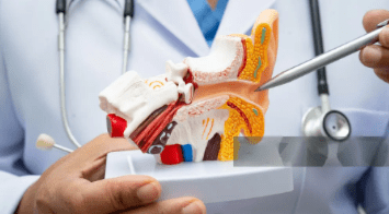 Danışmanlık Hizmeti